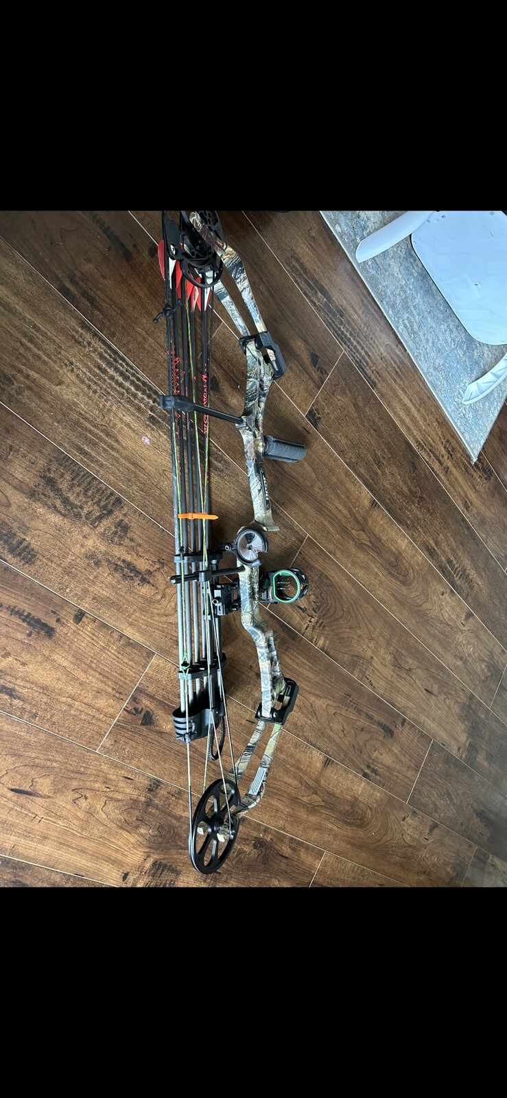 bear bow compound