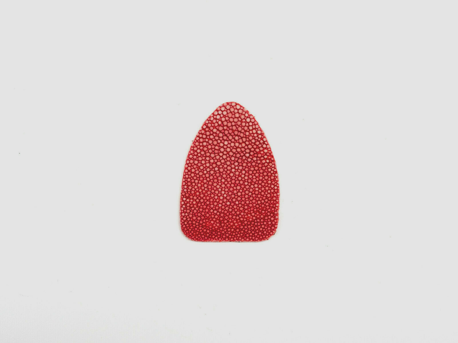 Arrow rest, red, from cut pearl ray, for long and recurve bow