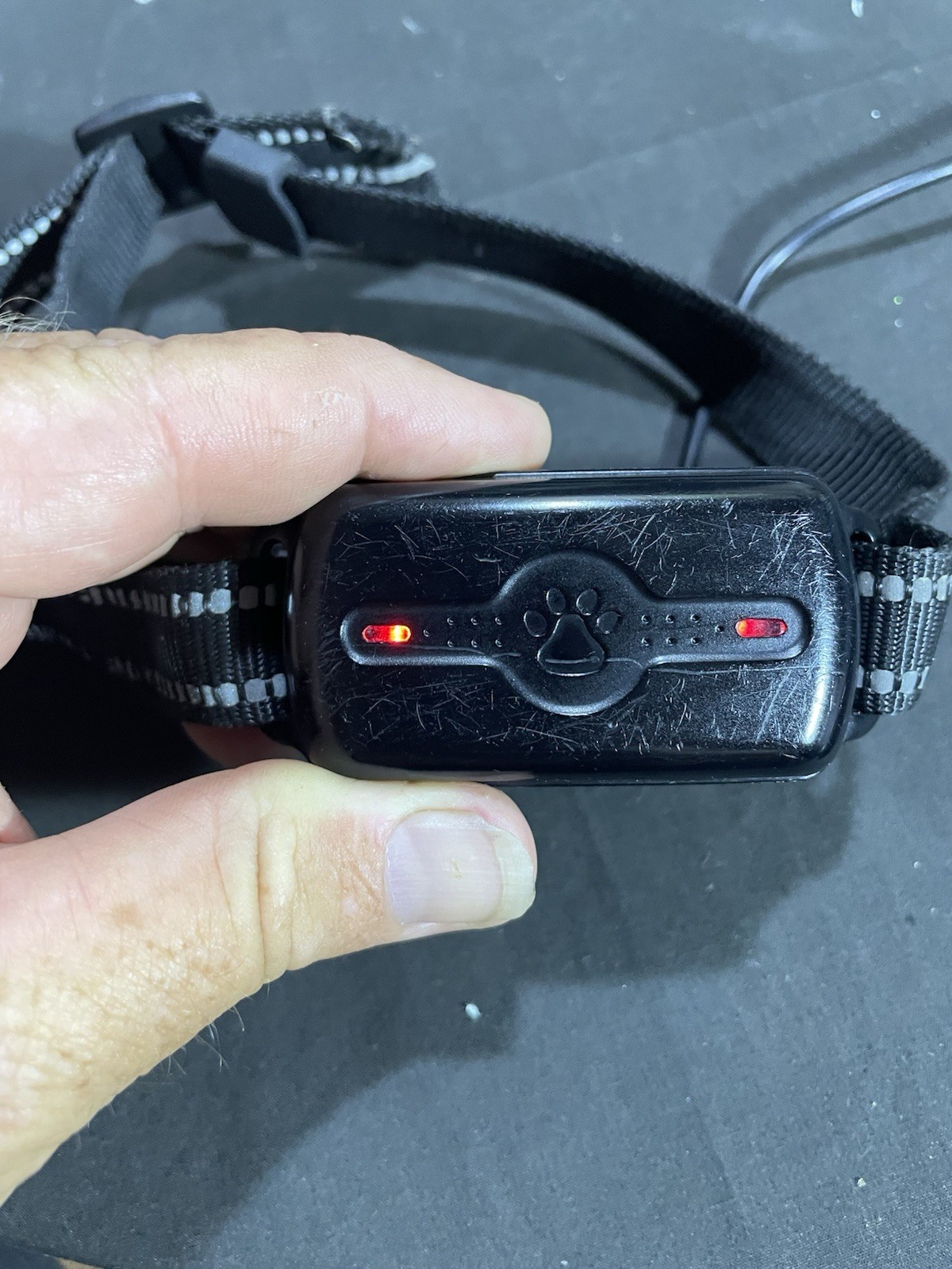 Electric dog training collar set