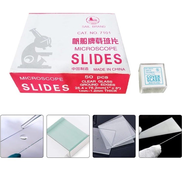 Microscope Slide and Cover Set (50 Ct.)