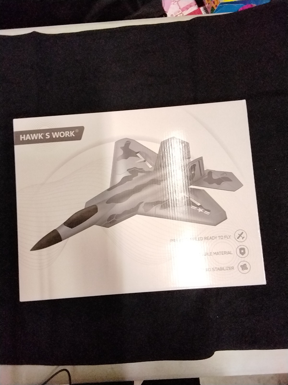 Hawk's Work 2 CH RC AIRPLANE F-22 Raptor