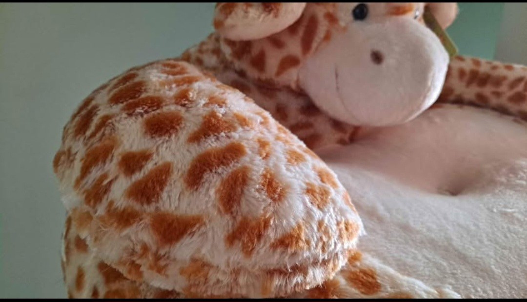 New With Tags Hugfun Giraffe Chair