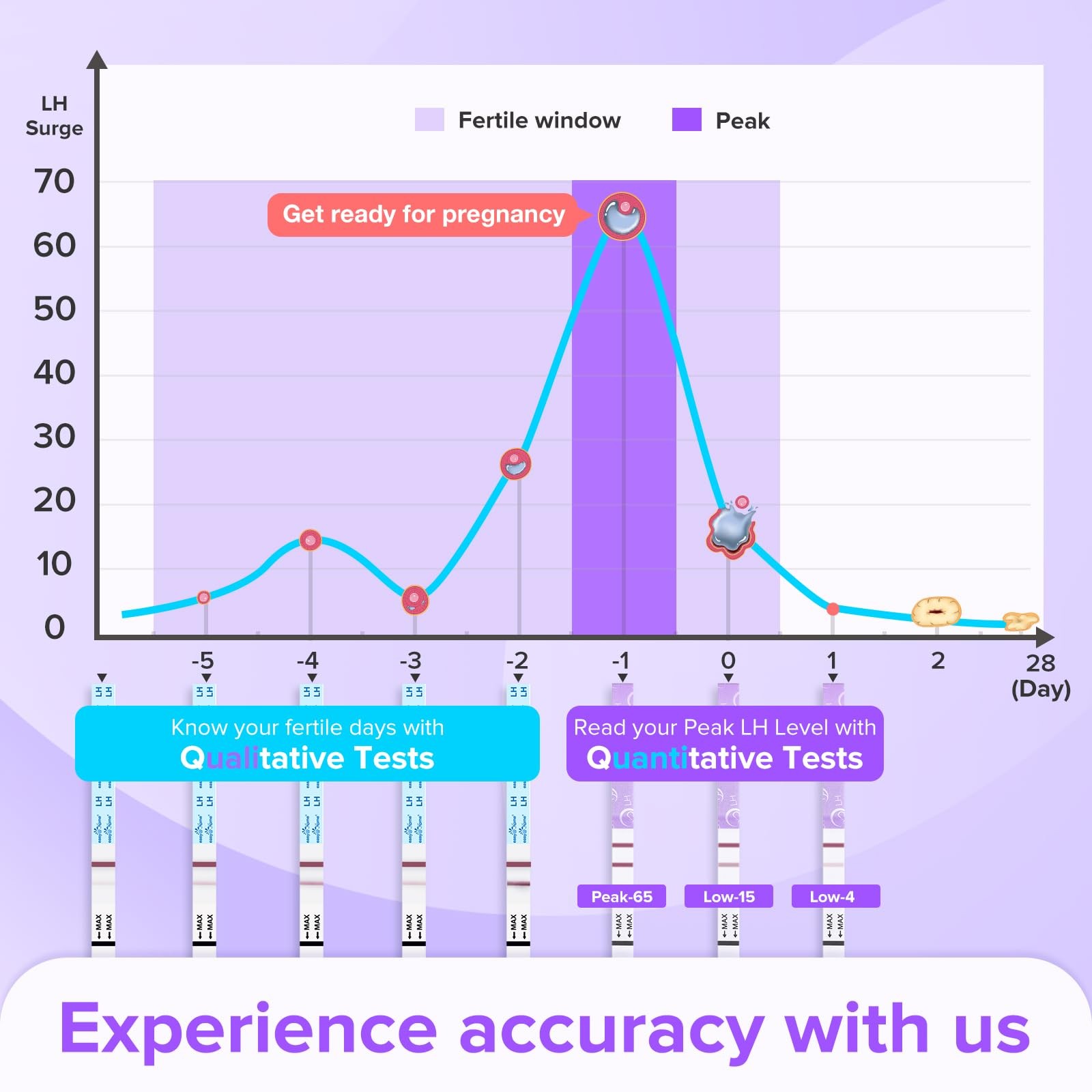 Premom Quantitative Ovulation Predictor Kit: 25 Ovulation & 5 Pregnancy Tests