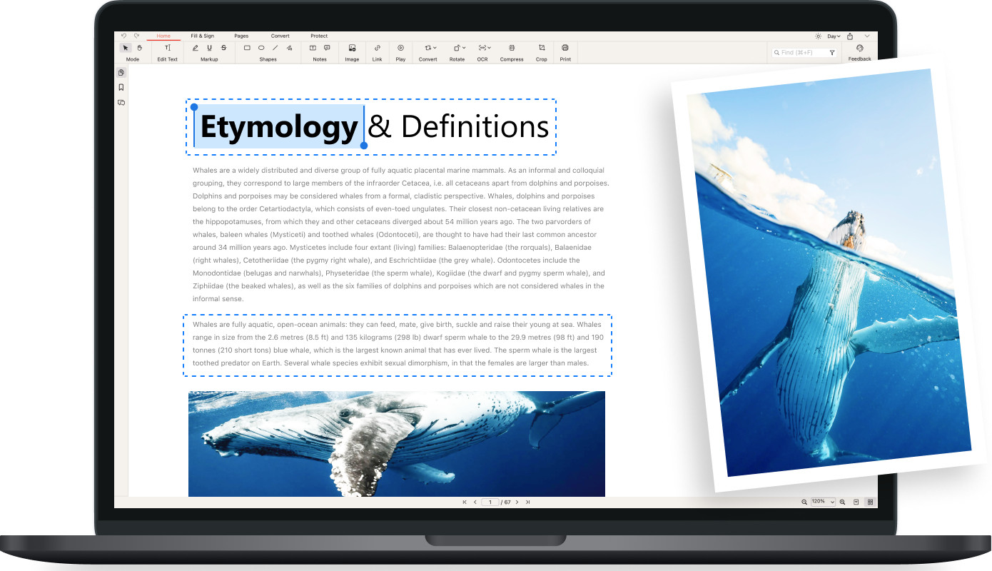 PDF Software Suite ~ Professional Management PDF Editor Creator for Windows USB