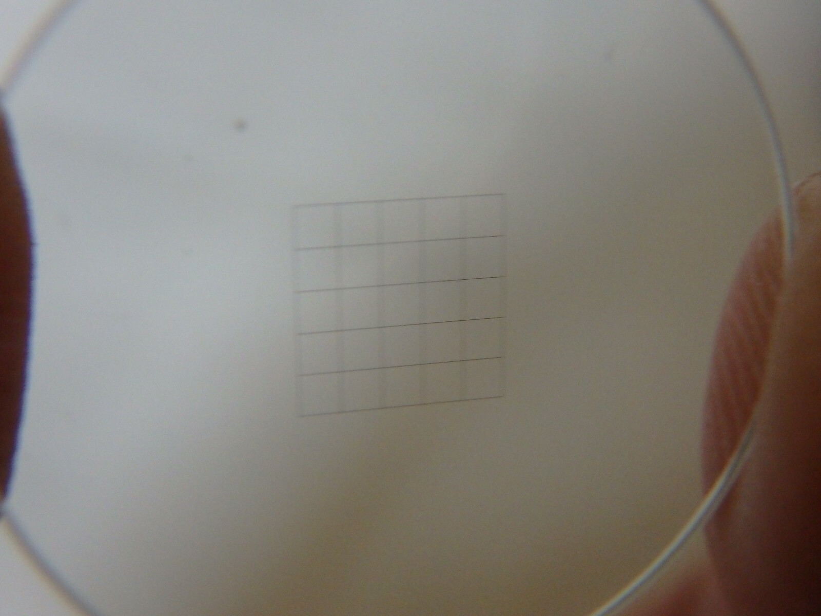 Eyepiece graticule 20.5mm for microscope ; grid 5x5 1mm each