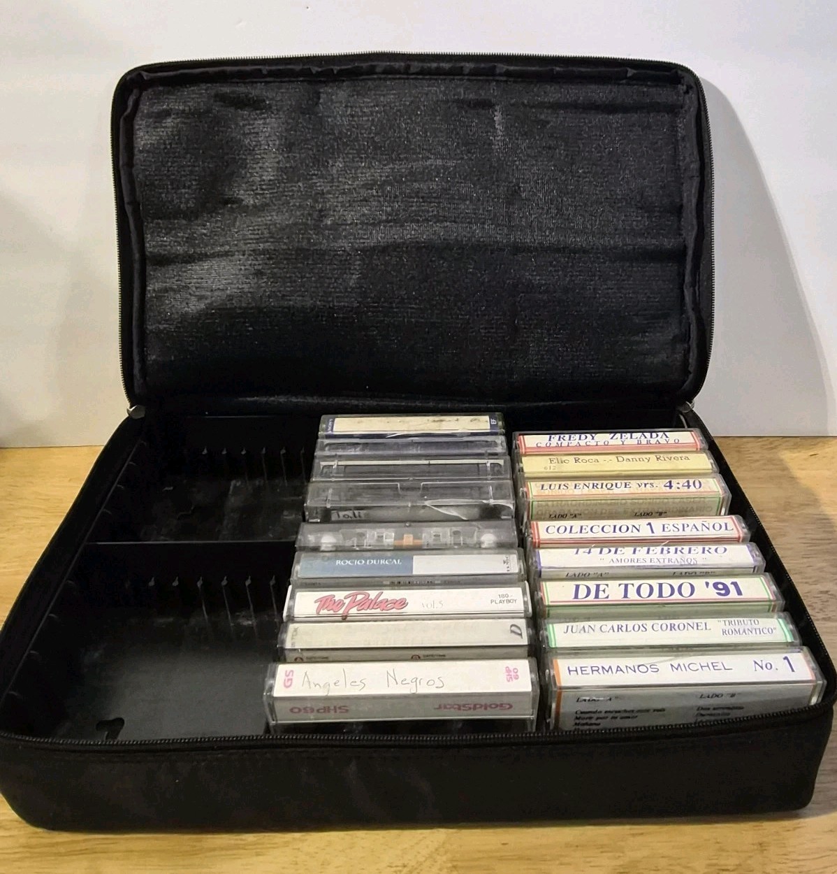 Vintage 1990s 30 Cassette Tape Plastic Soft Storage Holder Carrying Case