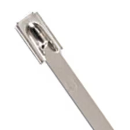 Ty-Rap Ls-7.9-360B Cable Tie, 14-1/2 In L, 4 In Max Bundle Dia., Silver, 316