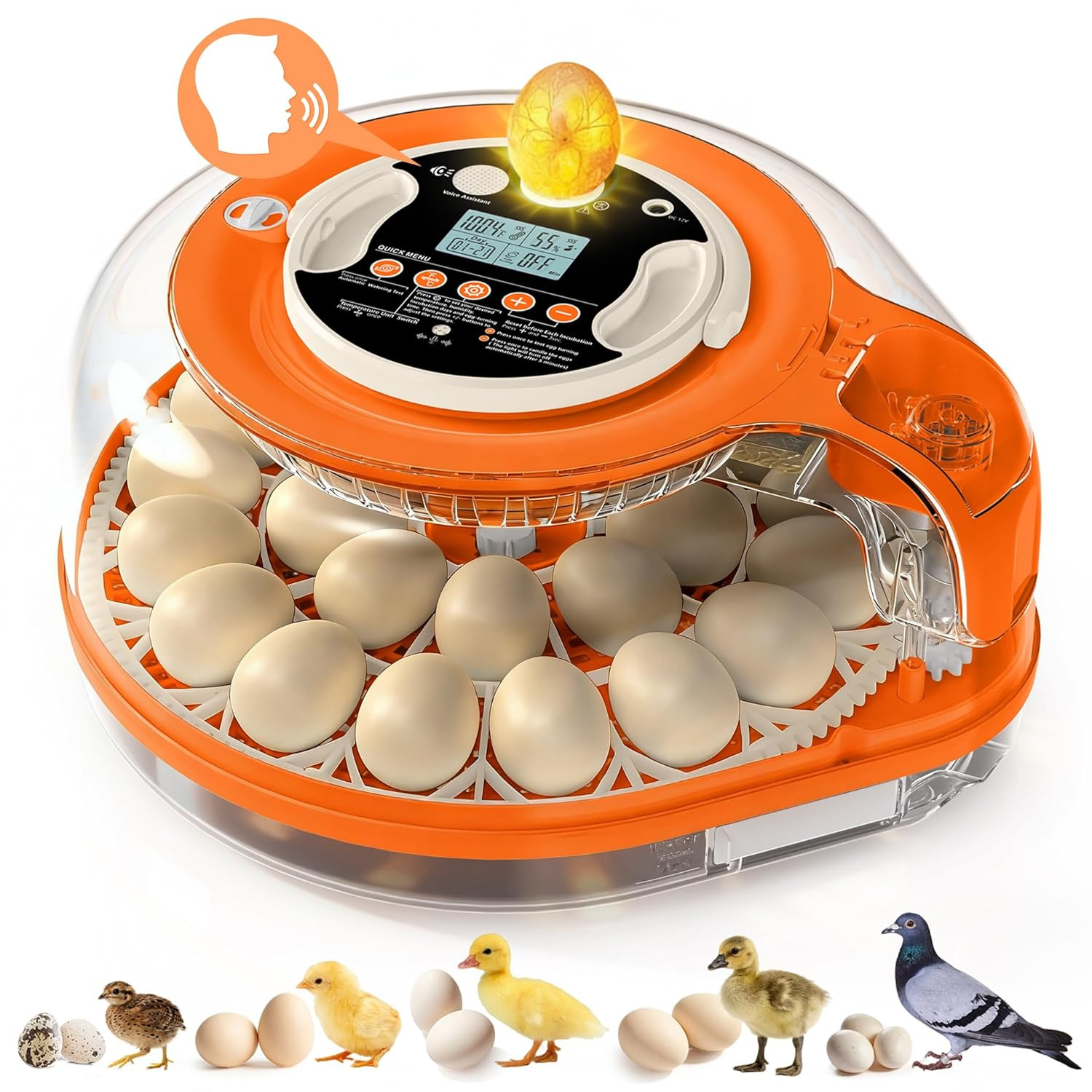 26 Incubators for Hatching Eggs Smart Voice Control Incubator with Auto Temp Hum