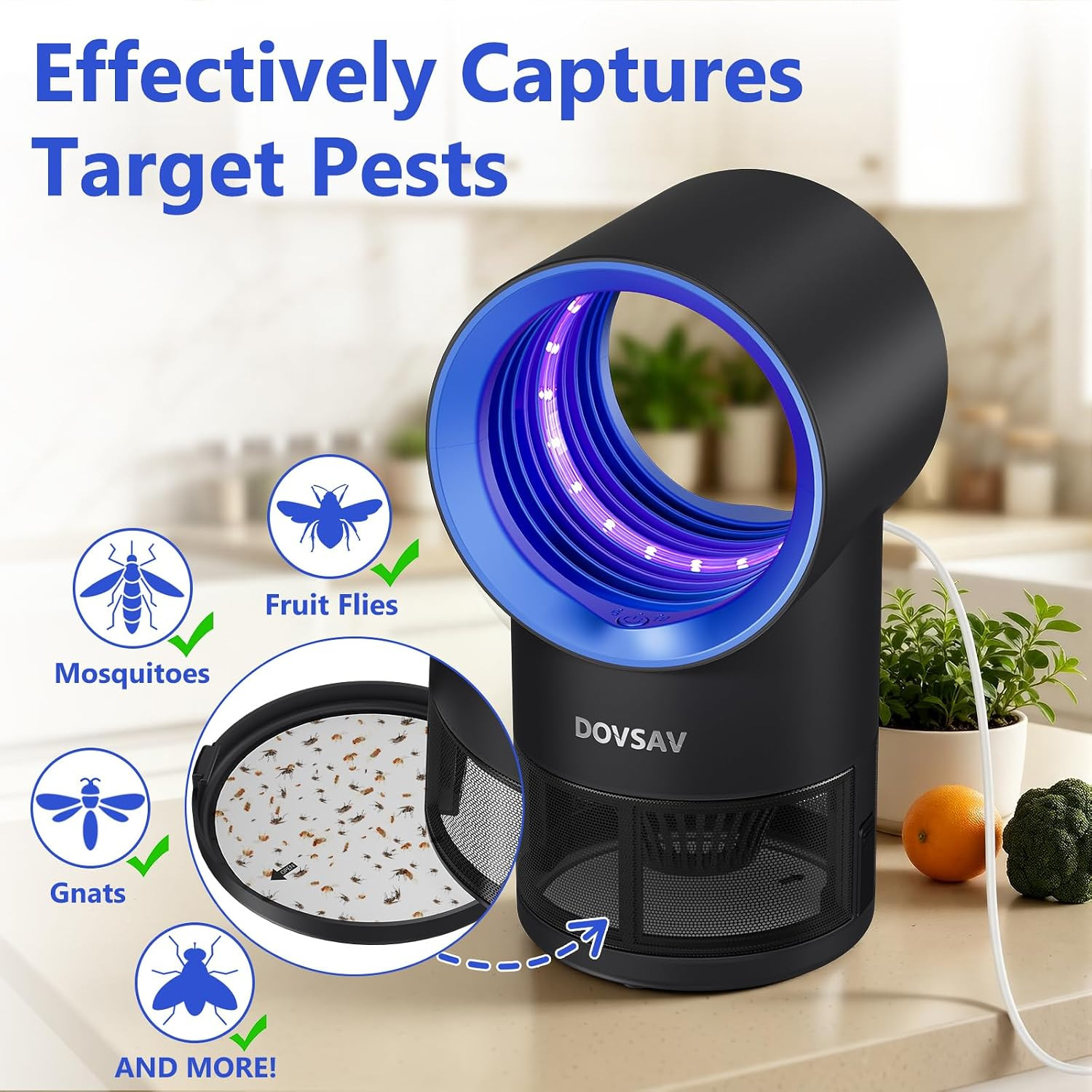 Fruit Fly Trap for Indoors, Blue Bug Zapper Indoor with Suction & Timer | Uv Lig