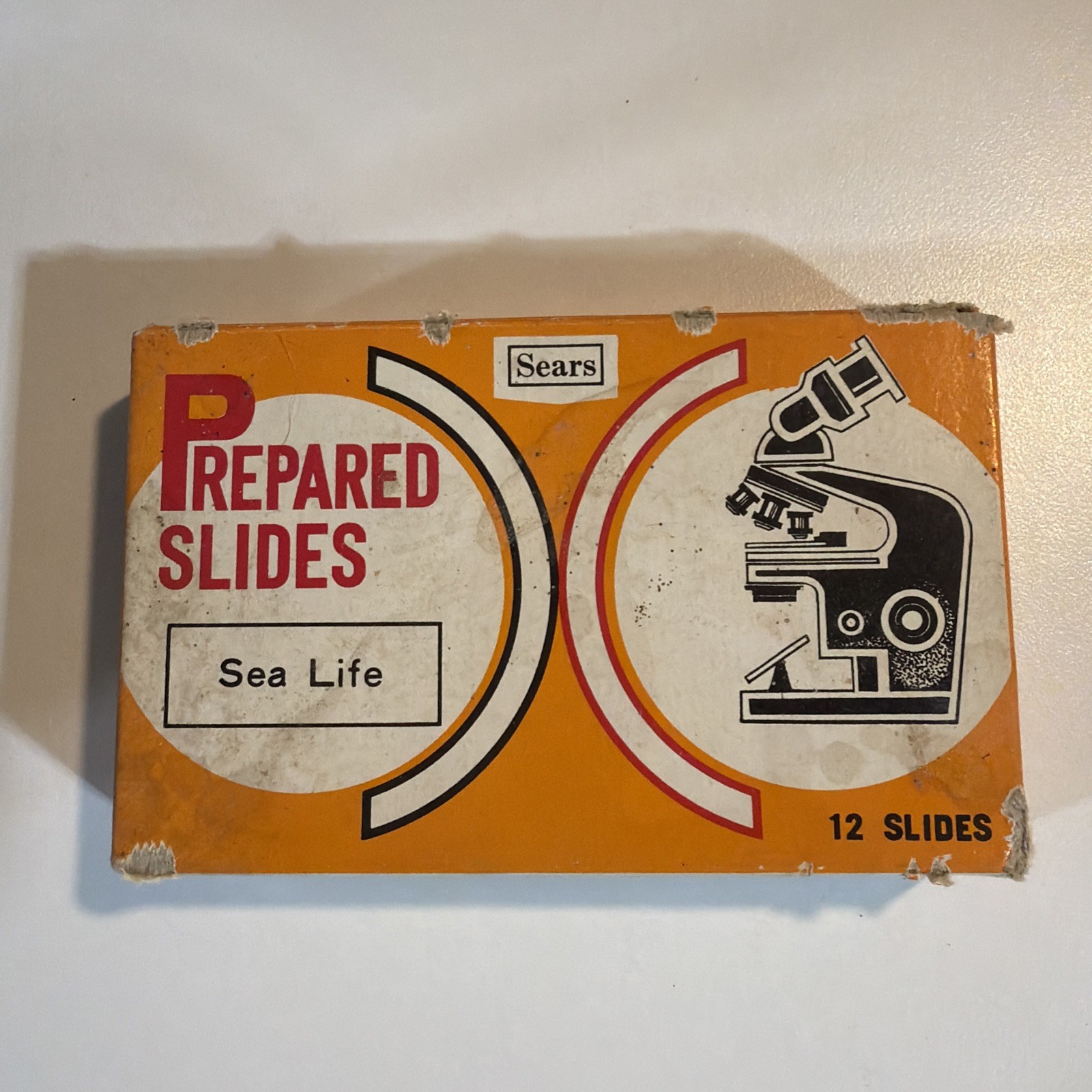 Vintage Sears Prepared Slides Sea Life Pack Of 12 Made In Japan