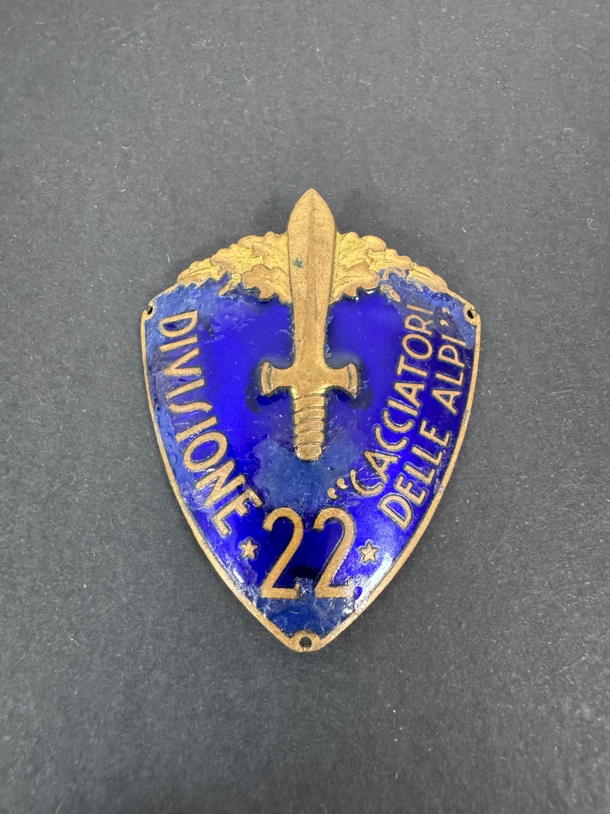Italian Division 22 "Hunters Of The Alps" Officer's Arm Shield Badge