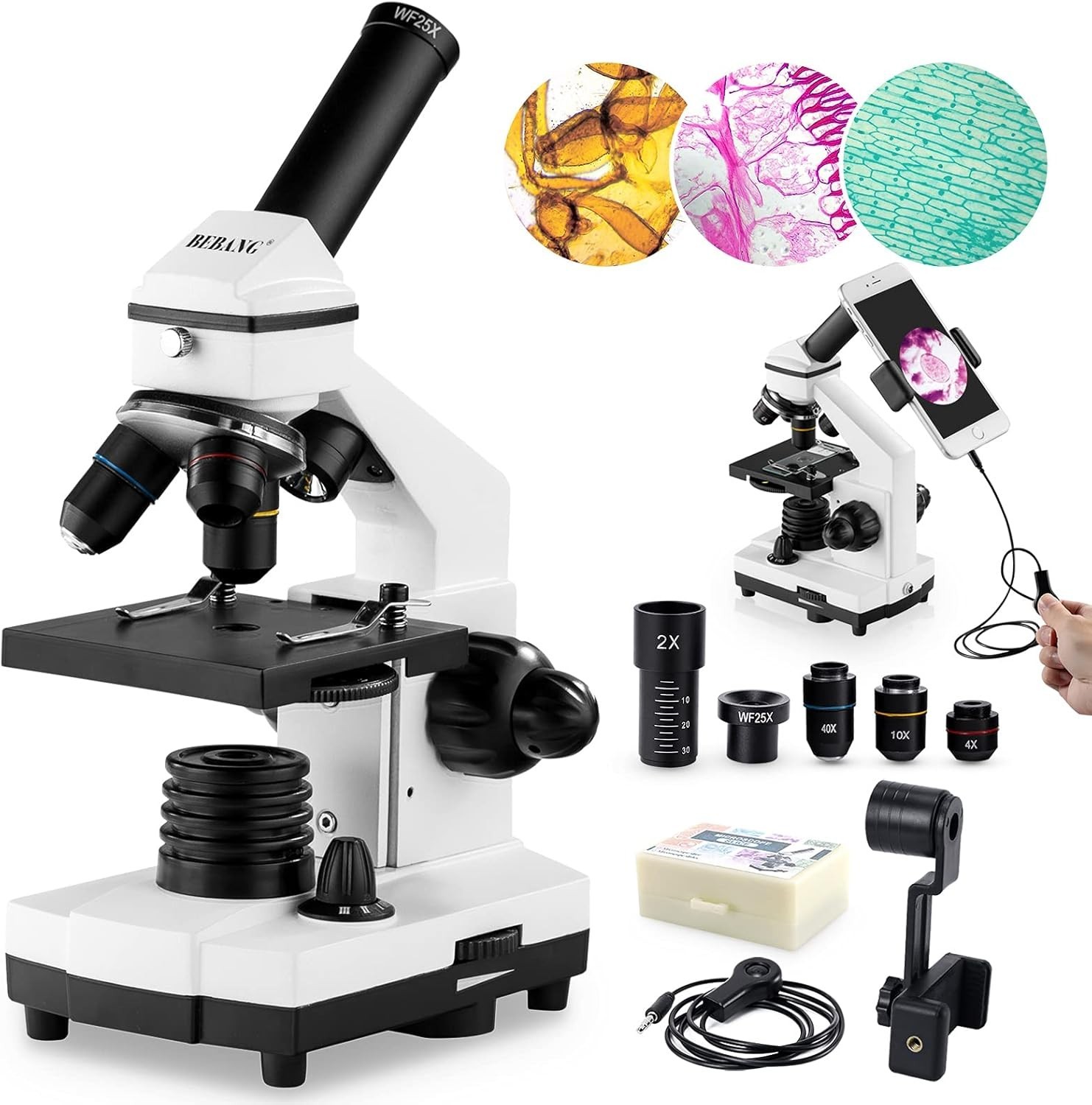 Microscopio para adultos, niños y estudiantes, microscopios 100X-2000X cuerpo.