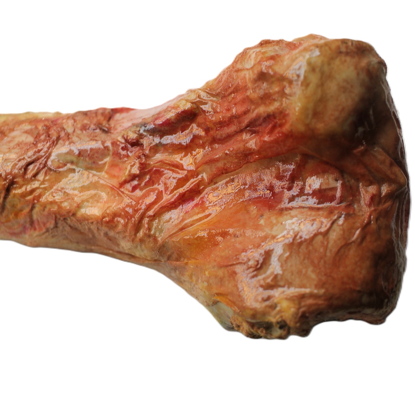 Bridgewater Triangle Human Femur Sci-Fi Horror Prop Hand Painted