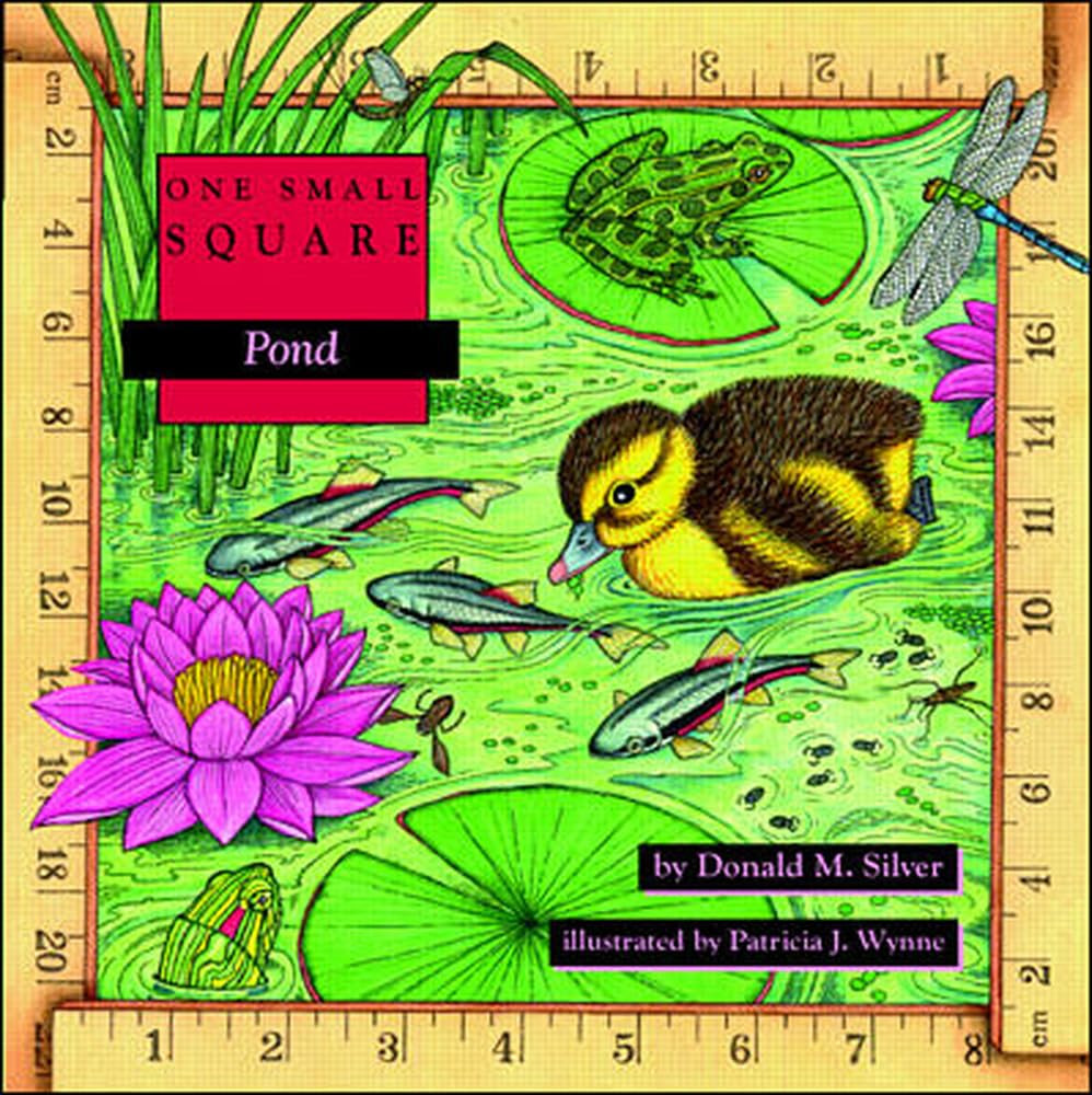 Pond Pond