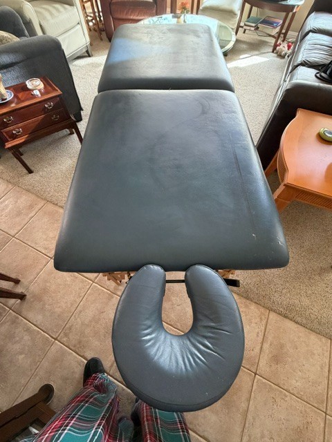 Blue Portable Sturdy Massage Table with Carrying Case & Attachable Head Rest