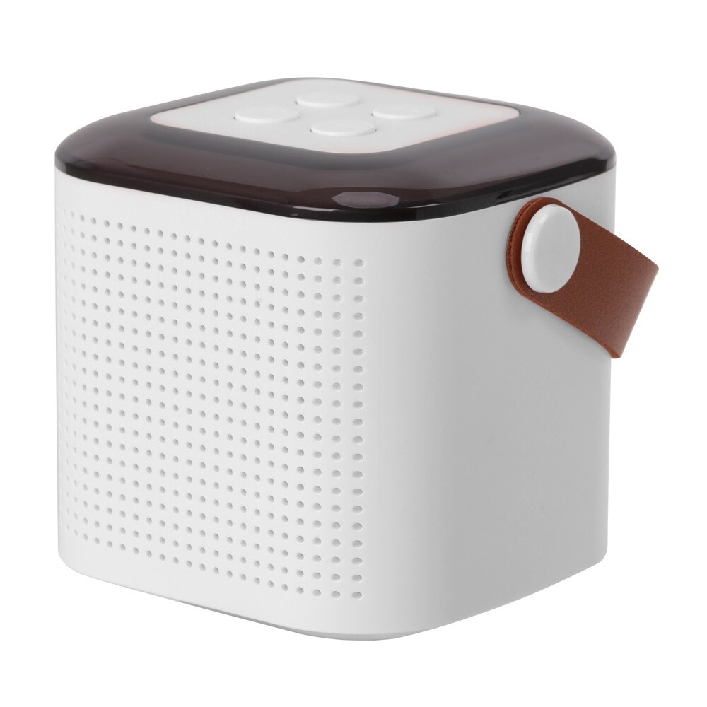 Portable White Bluetooth Karaoke Speaker Machine Kids Mics