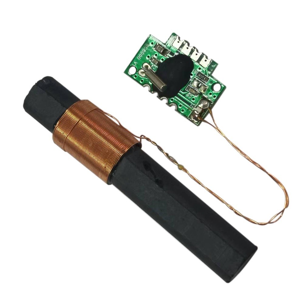 DCF 77 Receiver Module Integrated Circuits Radio Time Module 60x10mm DCF77 Pin T