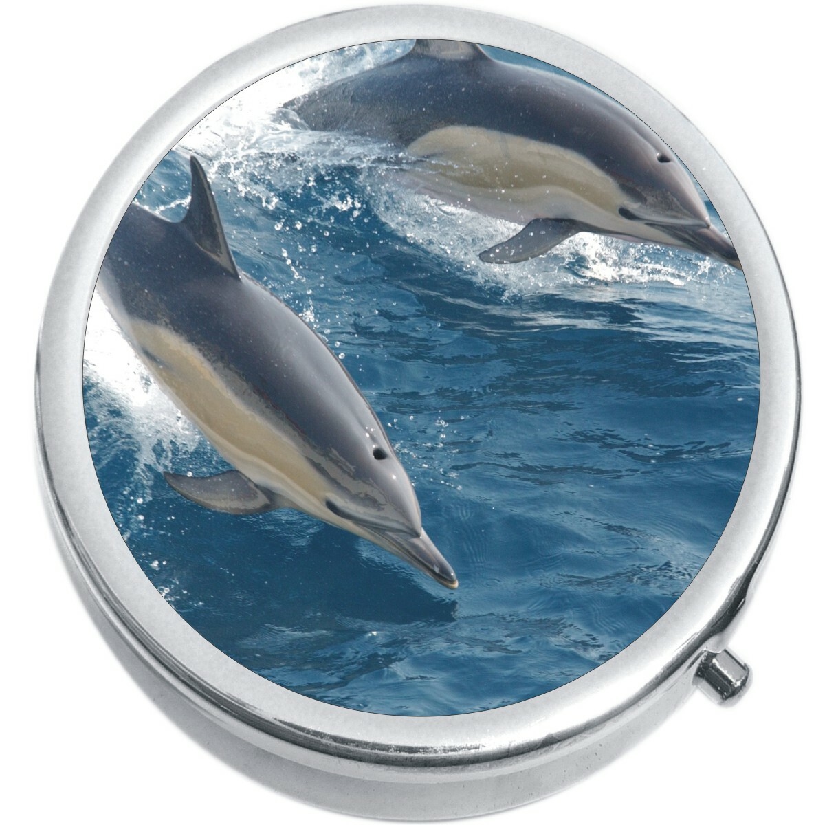 Dolphins Medicine Vitamin Compact Pill Box