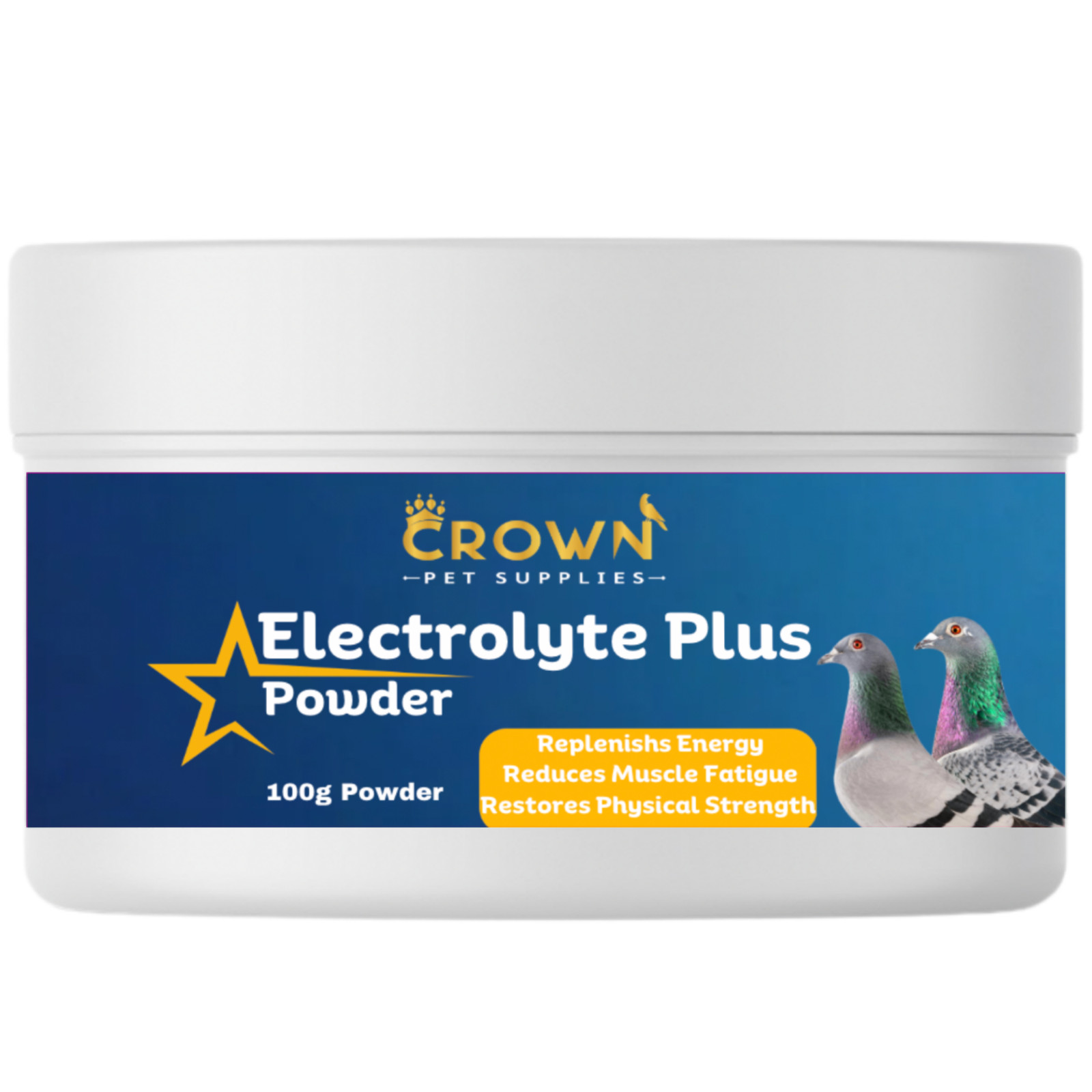 Electrolytes Plus Supplement for Pigeons Poultry Chicken Chick and Birds 100g