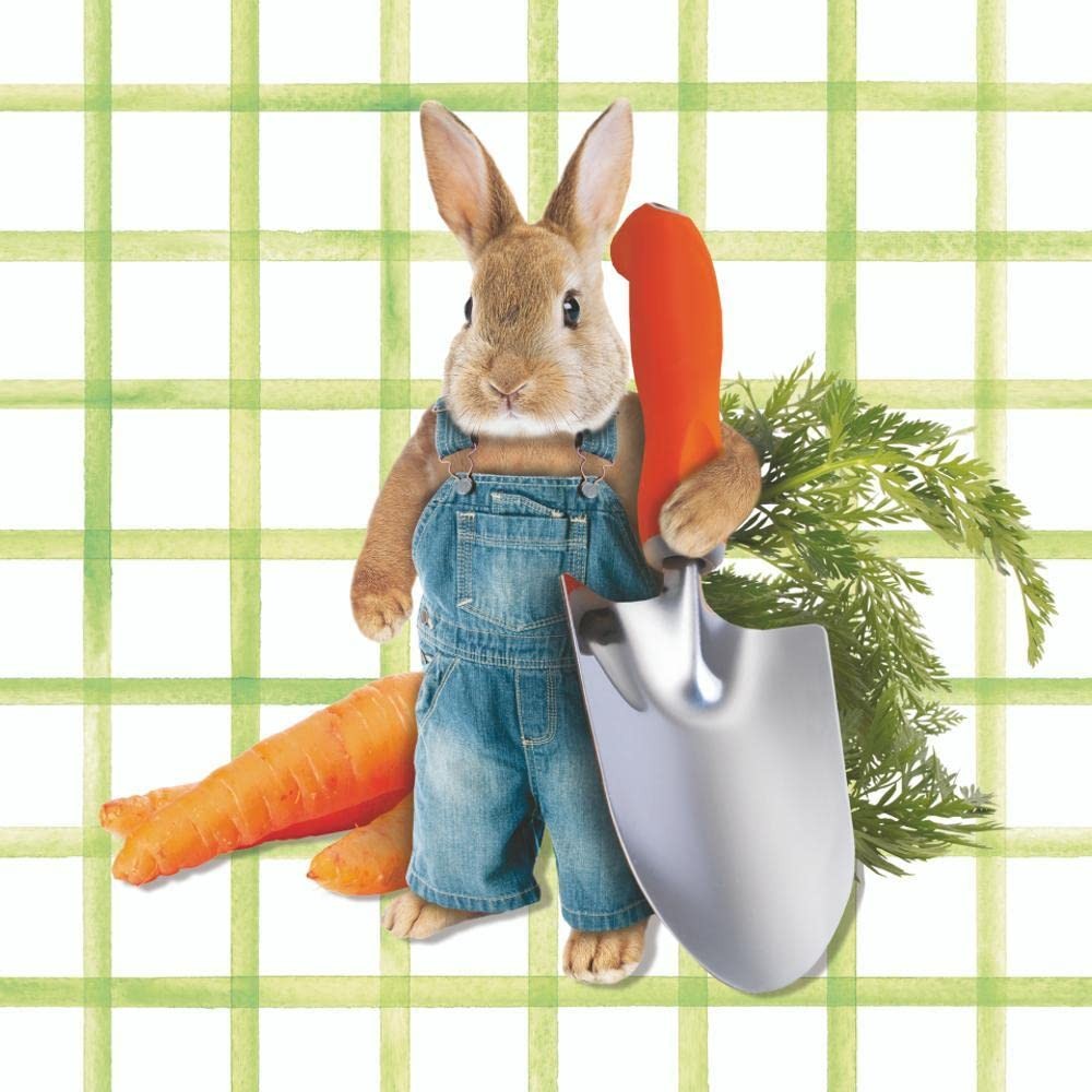 Paperproducts Design Pete's Garden Lunch Napkins 20 Pack 6.5x6.5 Paper