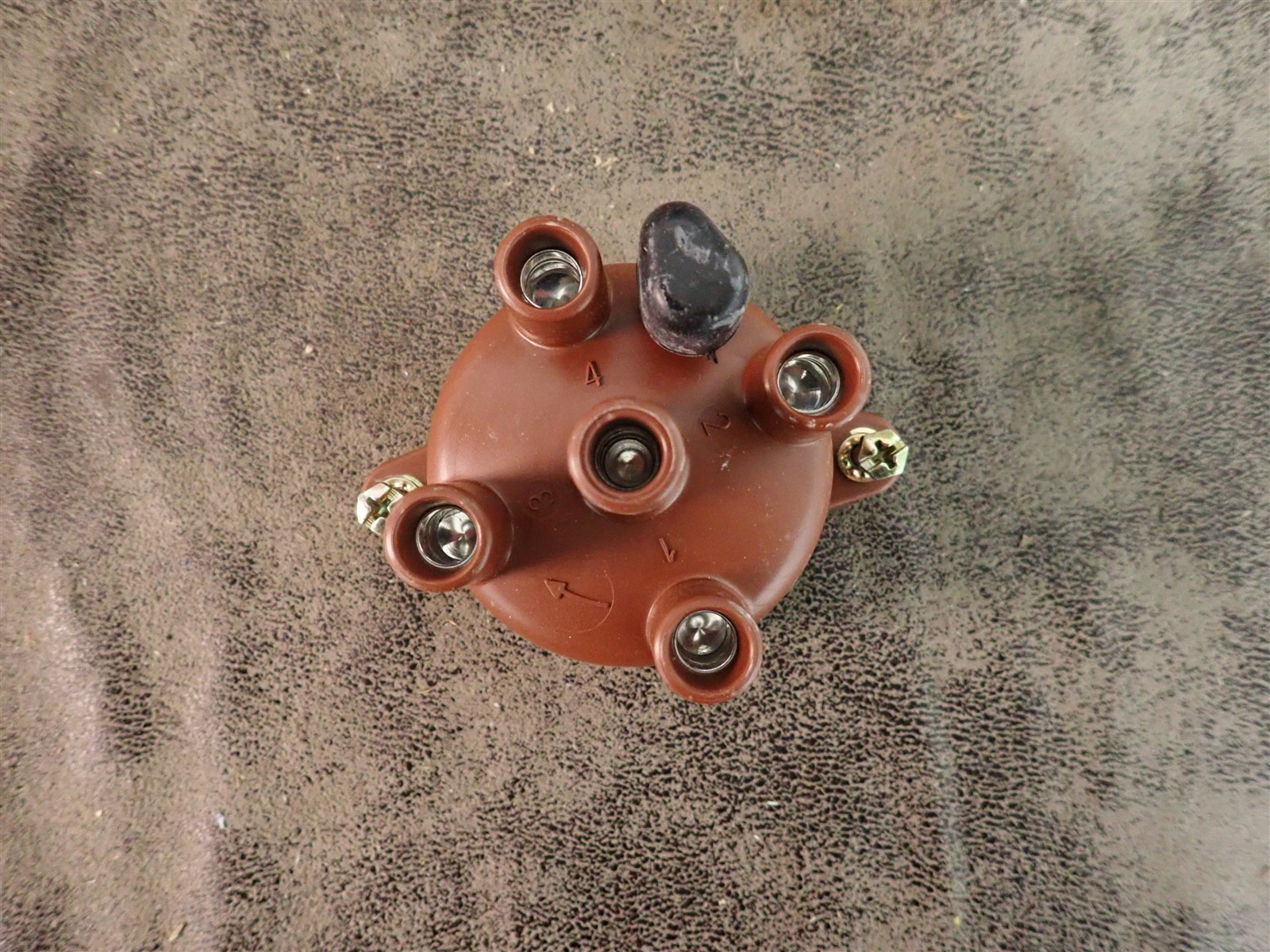 NEW WVE 5D1294 Distributor Cap (G209)