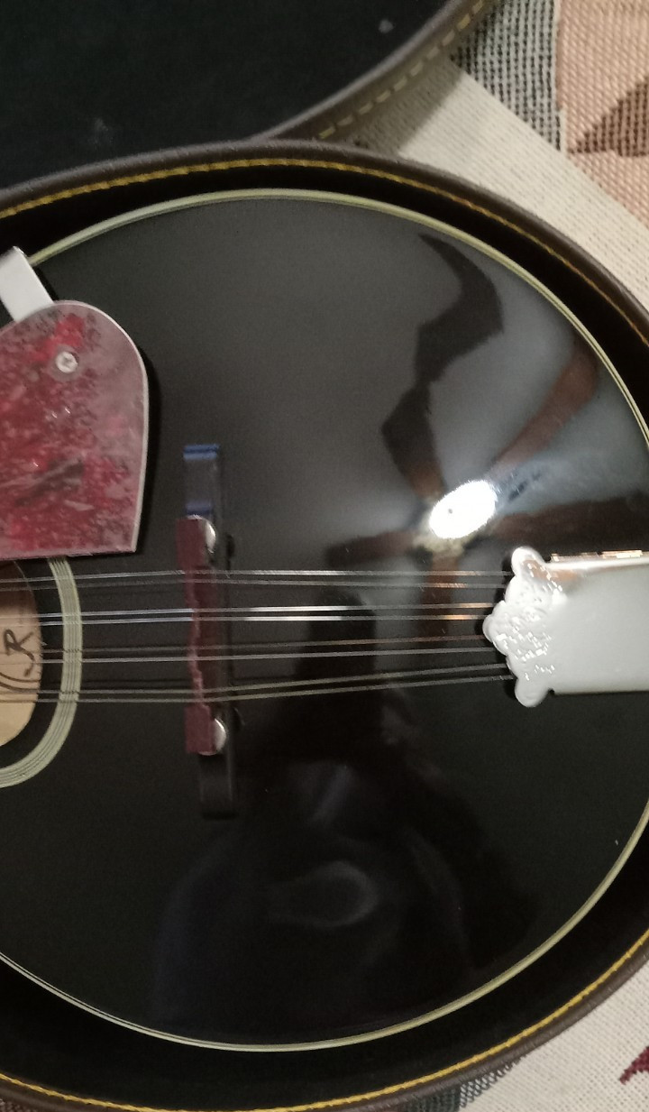 J Reynolds Mandolin JRMAN 30 with case, pick
