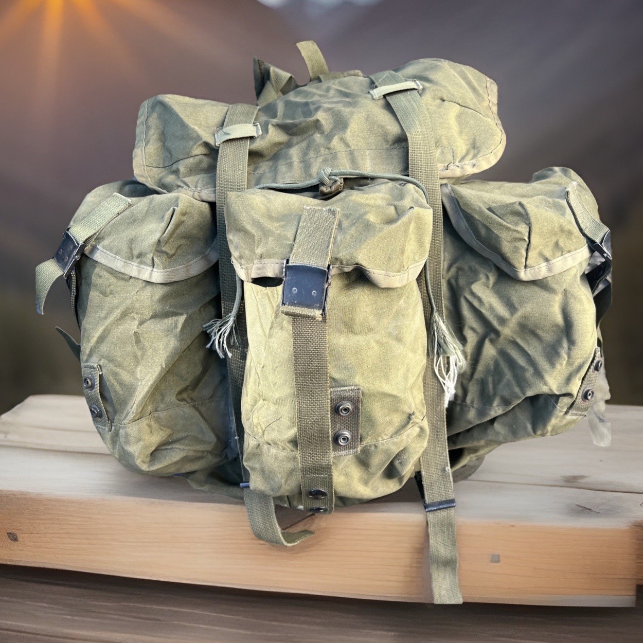 Rare Vintage Medium ARMY MILITARY Field BACKPACK Combat RUCKSACK Great Condition