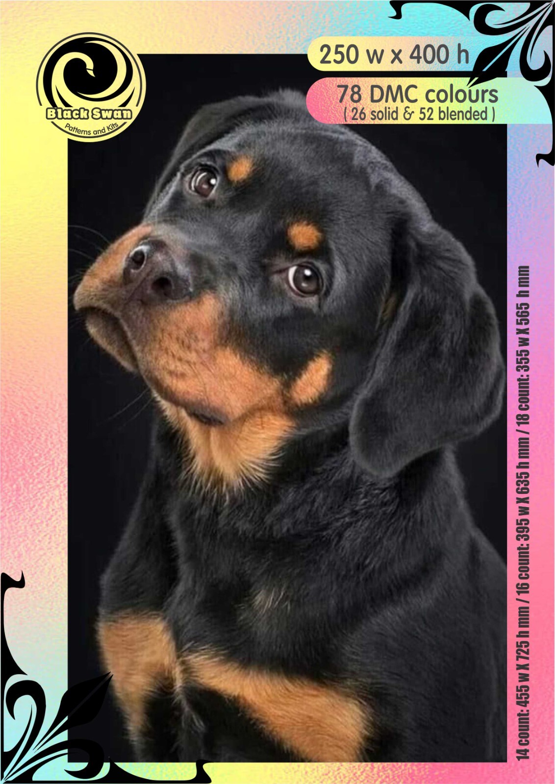 Rottweiler -Portrait 1207 - Chart Counted Cross Stitch Pattern craft