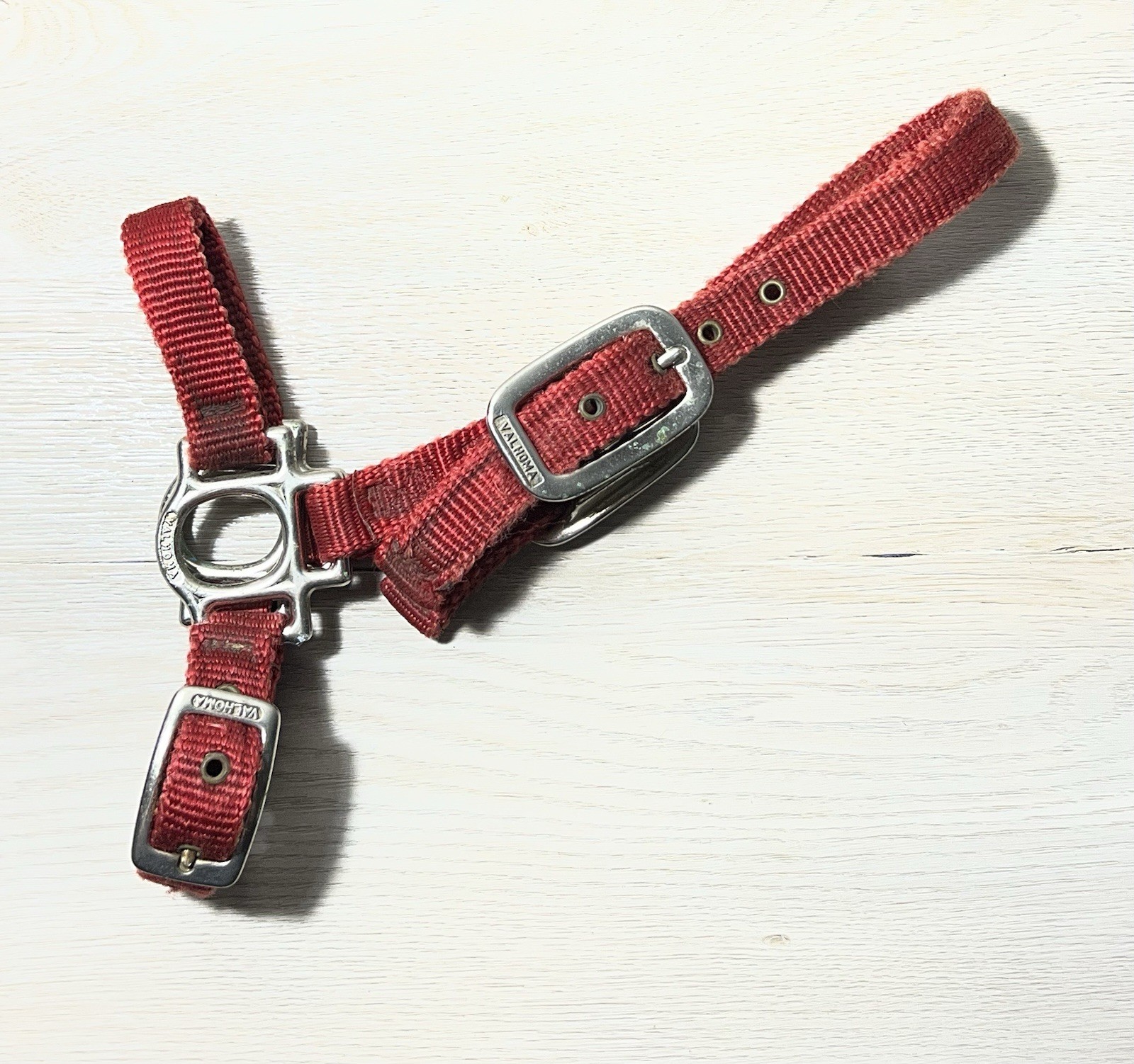 Valhoma Red Mini Horse Halter Grooming Weanling Adjustable Nylon English Western