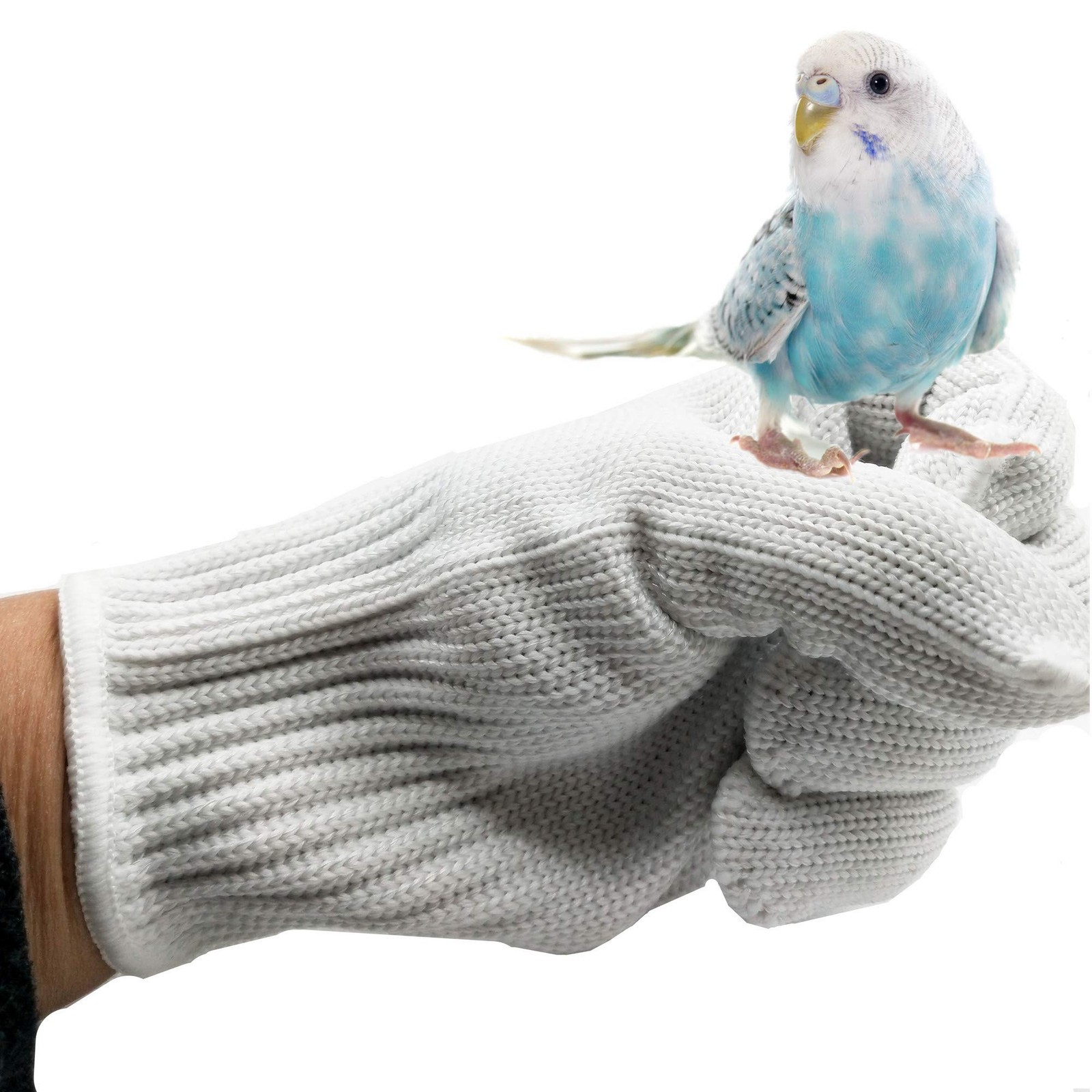 Bird Training Anti-Bite Parrot Chewing Protective Gloves, Small Animal Handli...