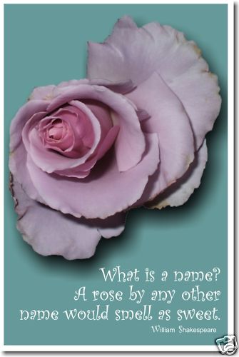 William Shakespeare - What is a name? English Classroom School POSTER