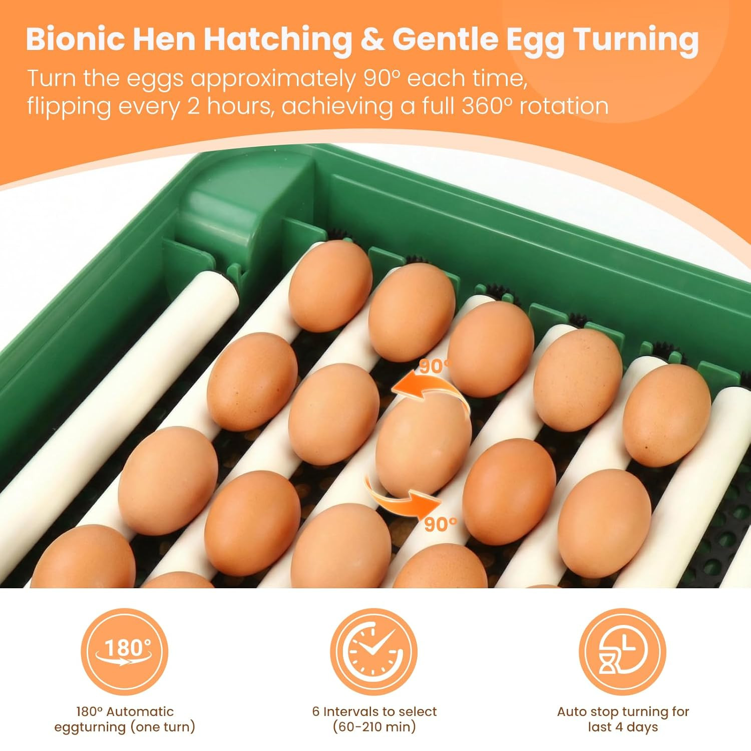 24 Egg Incubator for Hatching Eggs, 360° View Poultry Incubator, Automatic Egg T