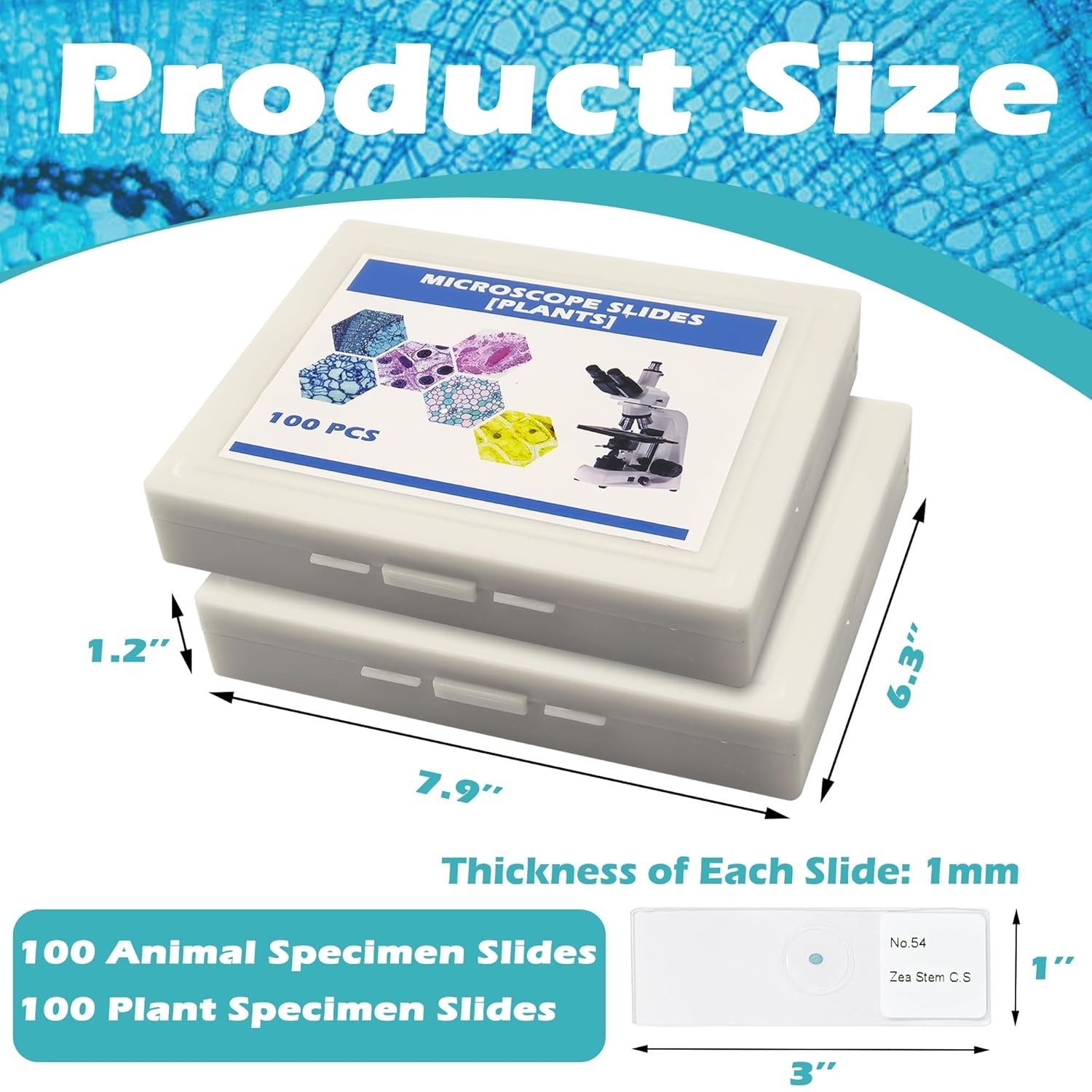 200 Microscope Slides Set with Labels