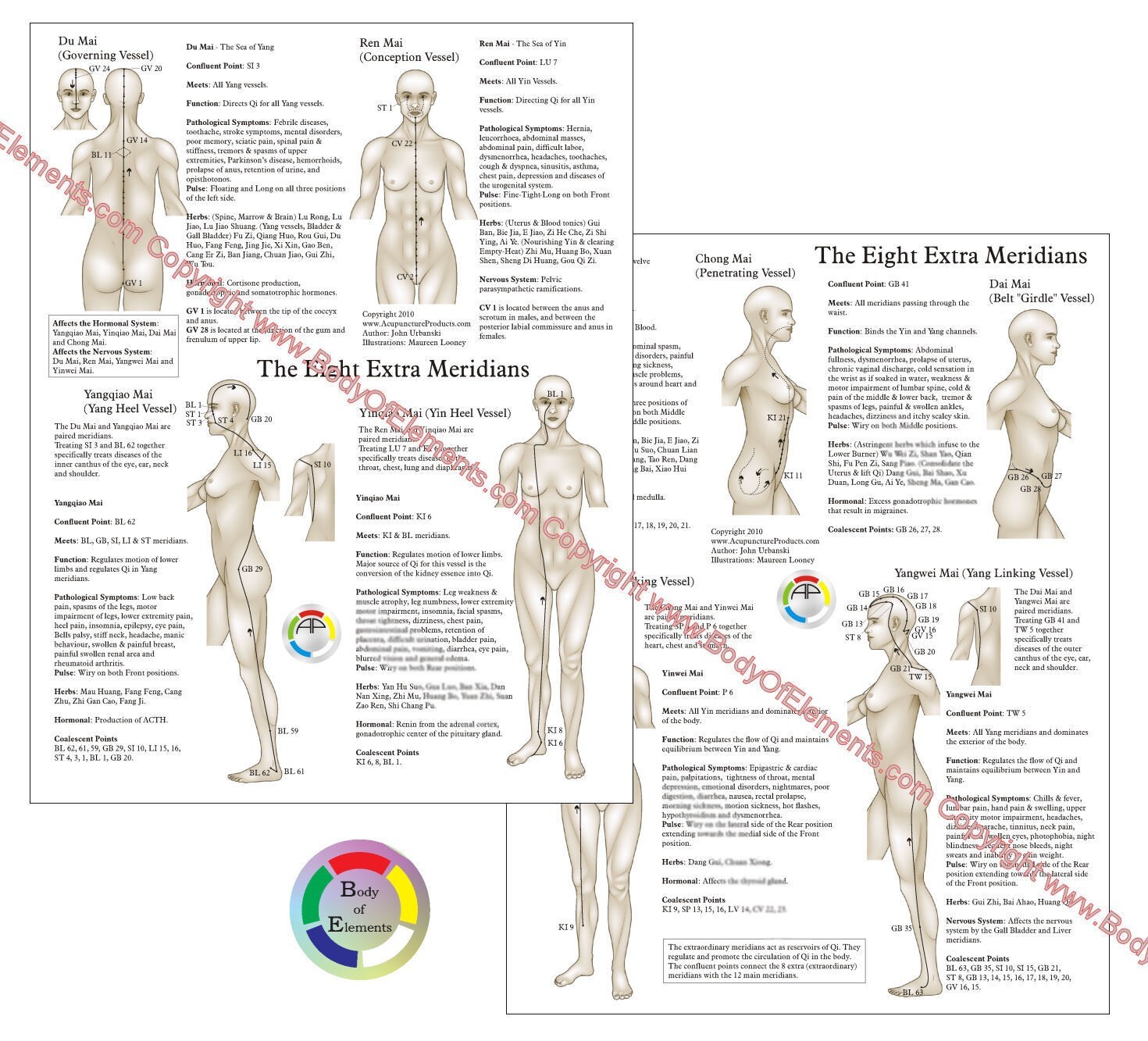 The Eight Extraordinary Meridians Acupuncture Points Chart 8.5" X 11"