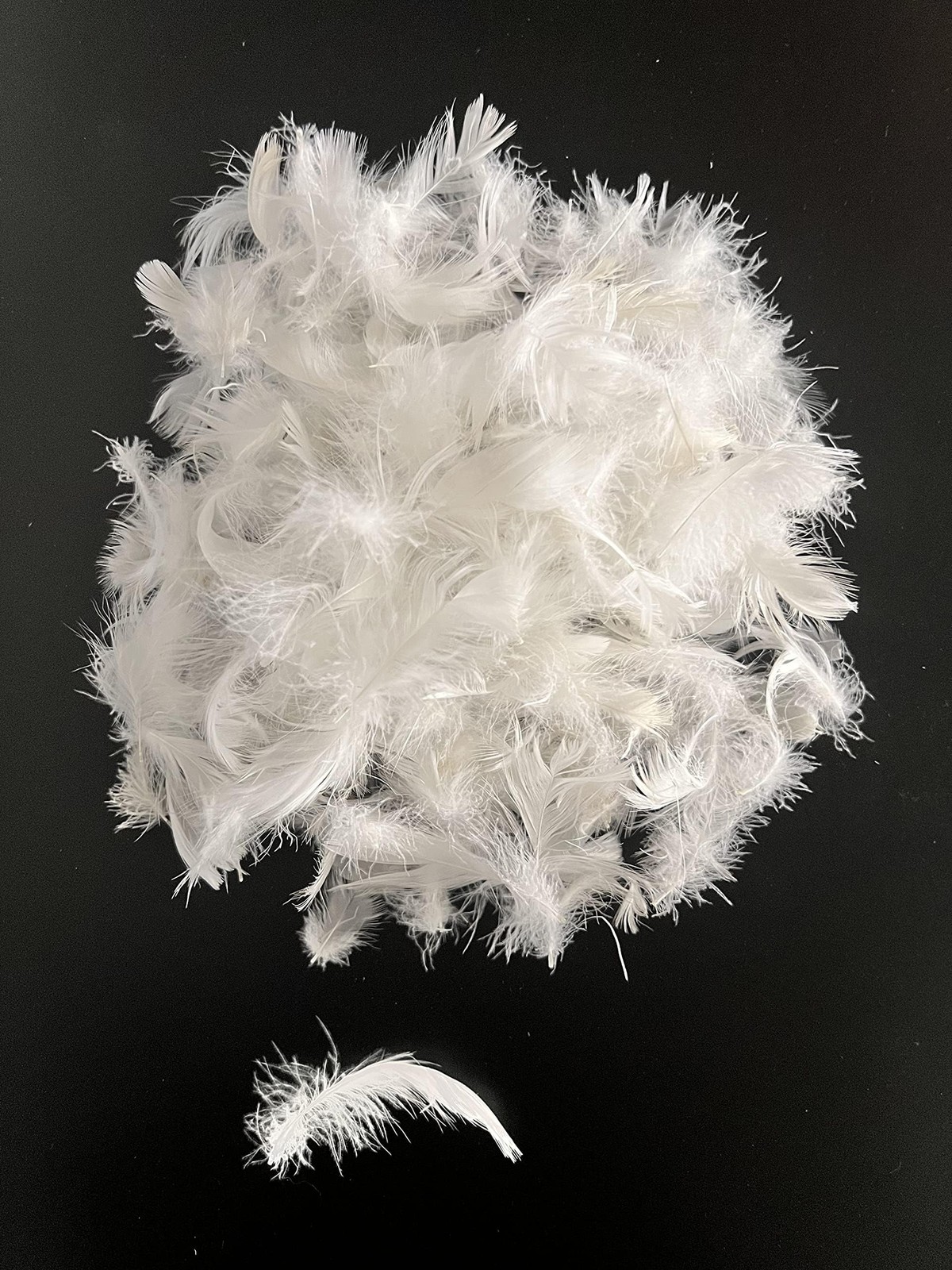 Bulk Goose Down Feather Stuffing & Fill â€“ Hypoallergenic Pillow Filling, Repa