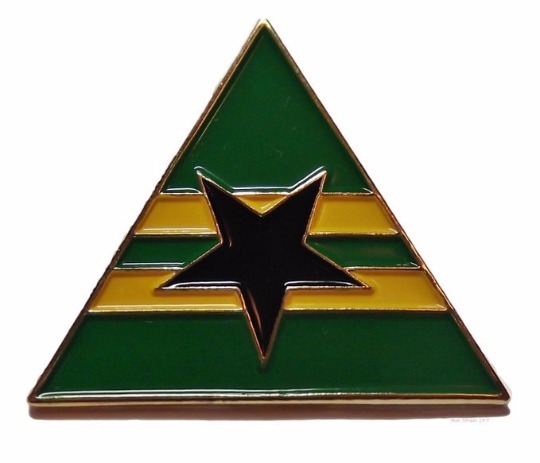 Firefly Series Serenity Episode Browncoats Symbol Pin