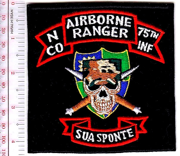 US Army Ranger Vietnam 173rd Airborne Infantry Brigade N Company Vel NO TARIFF