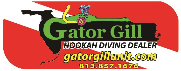 Hookah Diving dual filtration for oil less compressor assembly. A MUST NEEDED