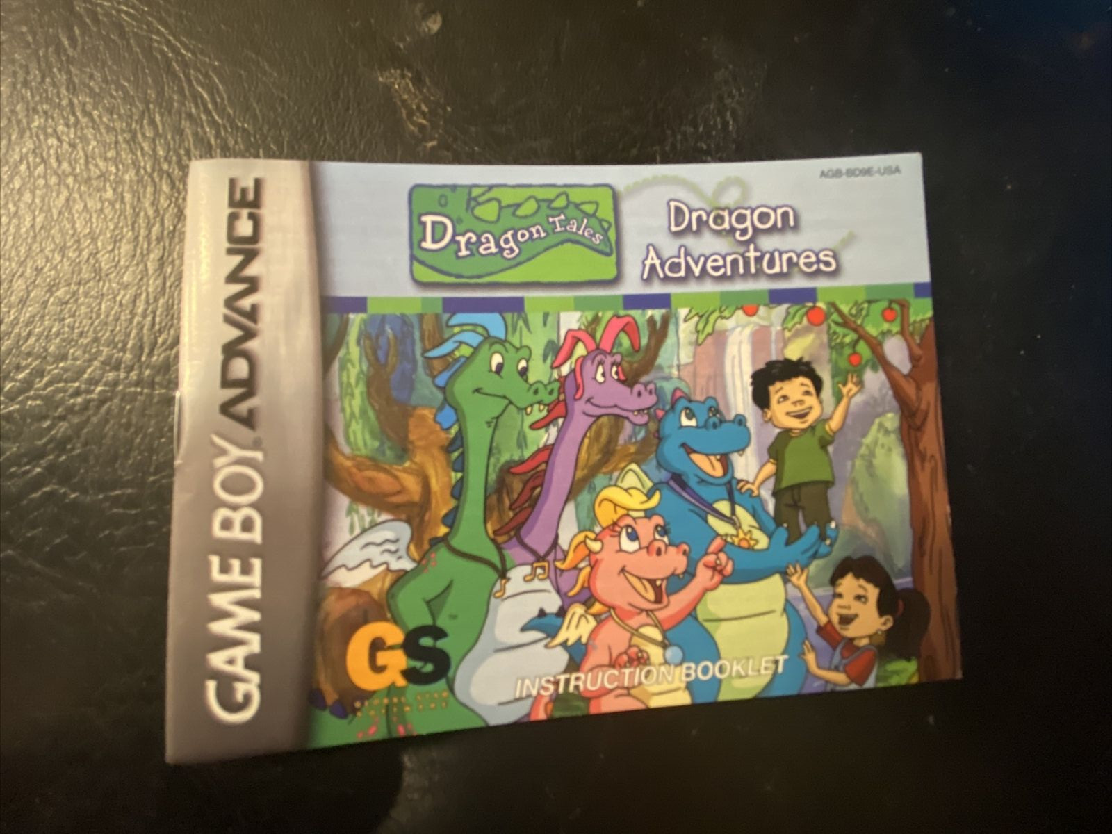 ***NINTENDO DRAGONTALES Dragon Adventures GBA -Instruction Booklet***