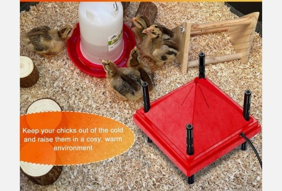Brooder Plate Anti-Roost Cone Chicks Adjustable Chicken Brooder Heater Red