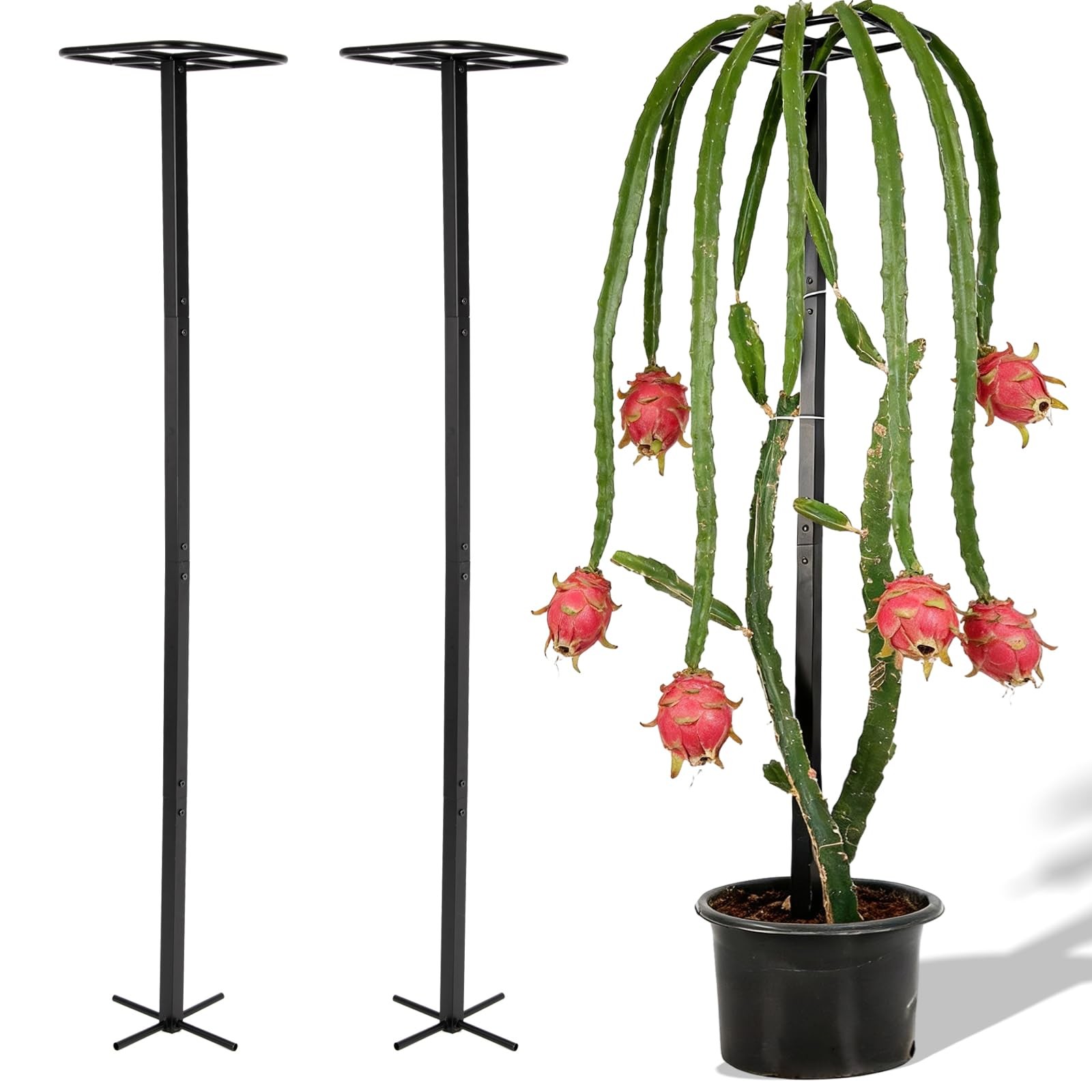 GOOOXIM 2-Pack 63-Inch Metal Dragon Fruit Trellis - Sturdy 12"W x 63"H, 2 Pcs
