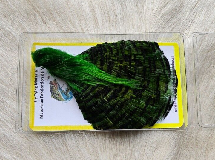 Golden Pheasant Cape Feather.  Color;  Green. Grade "A". Fly .