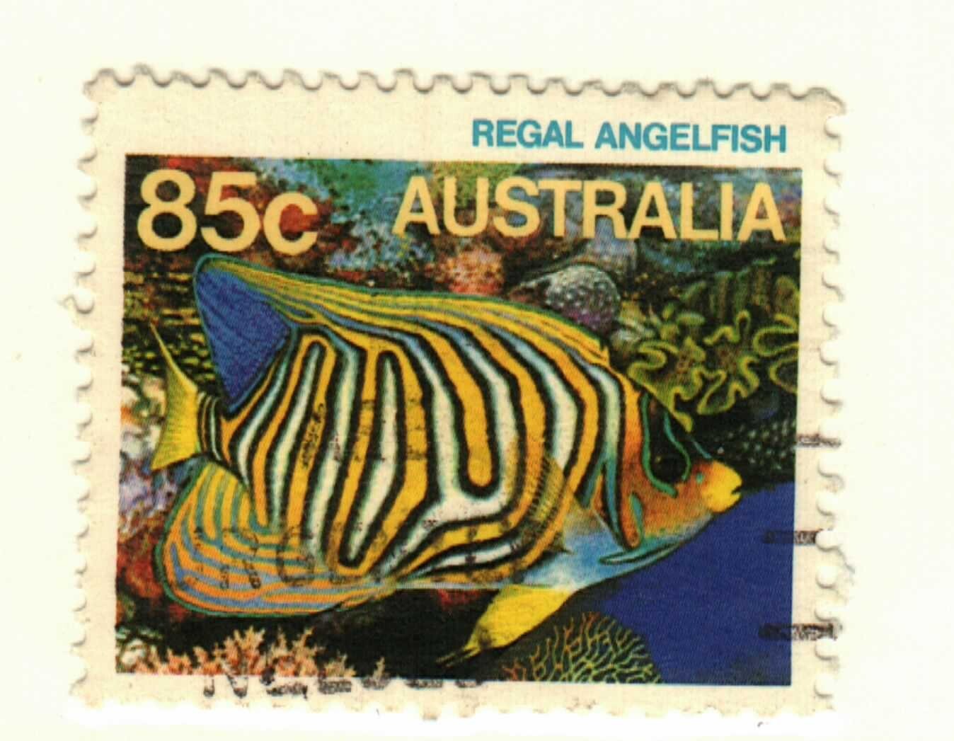 Australia #918 used Regal Angelfish