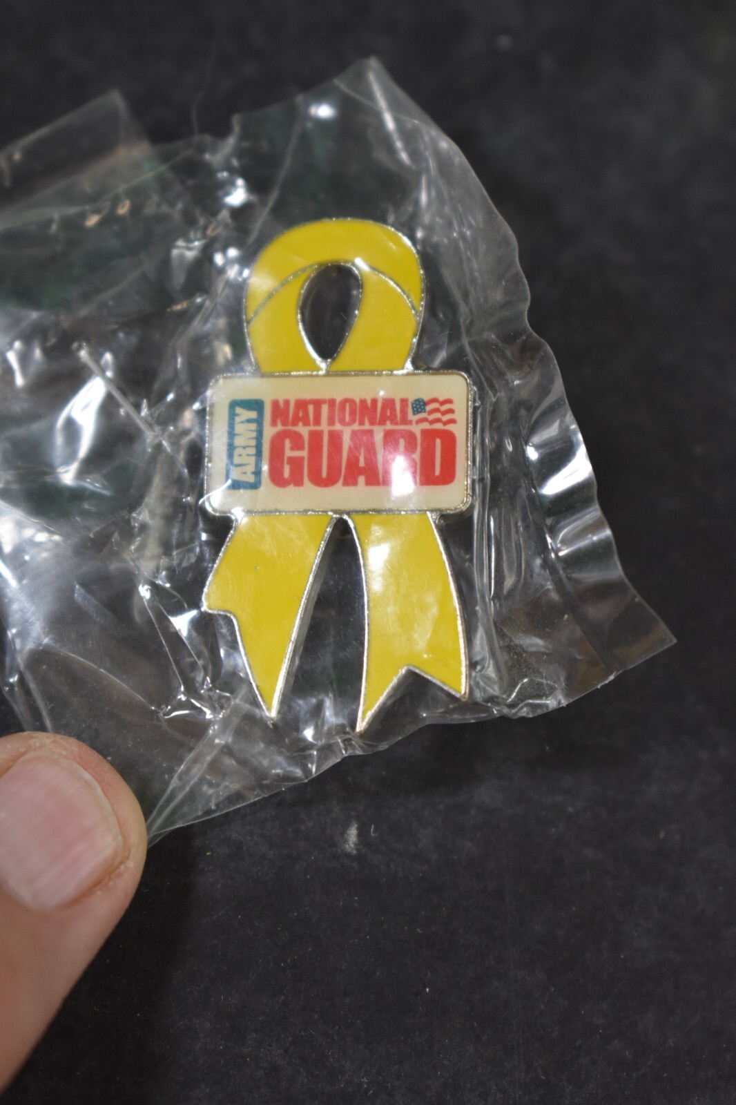 ARMY National Guard pin, lapel, collar