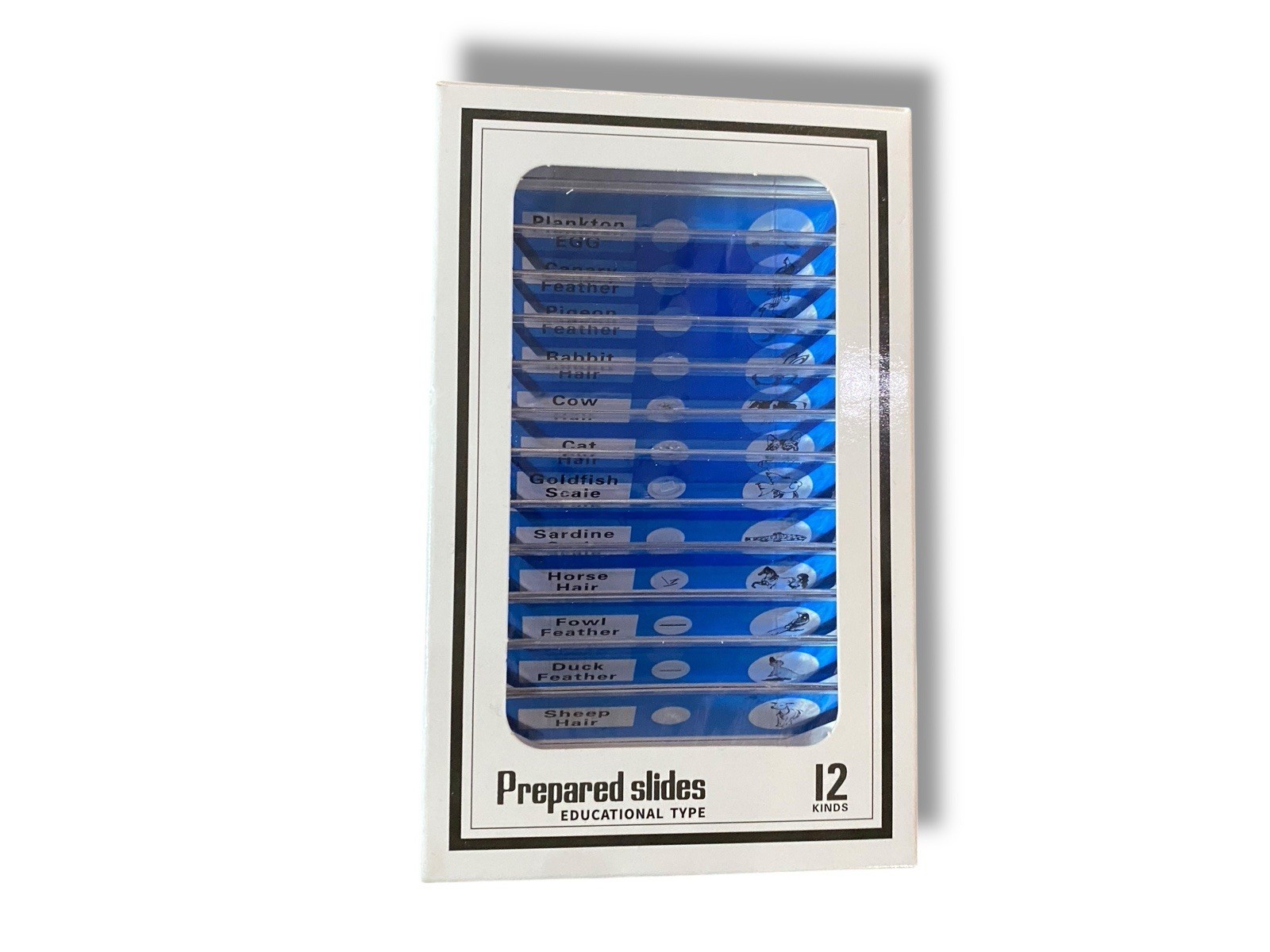 24 Pcs Prepared Microscope Slides Specimen Set Educational Microscope Accessory