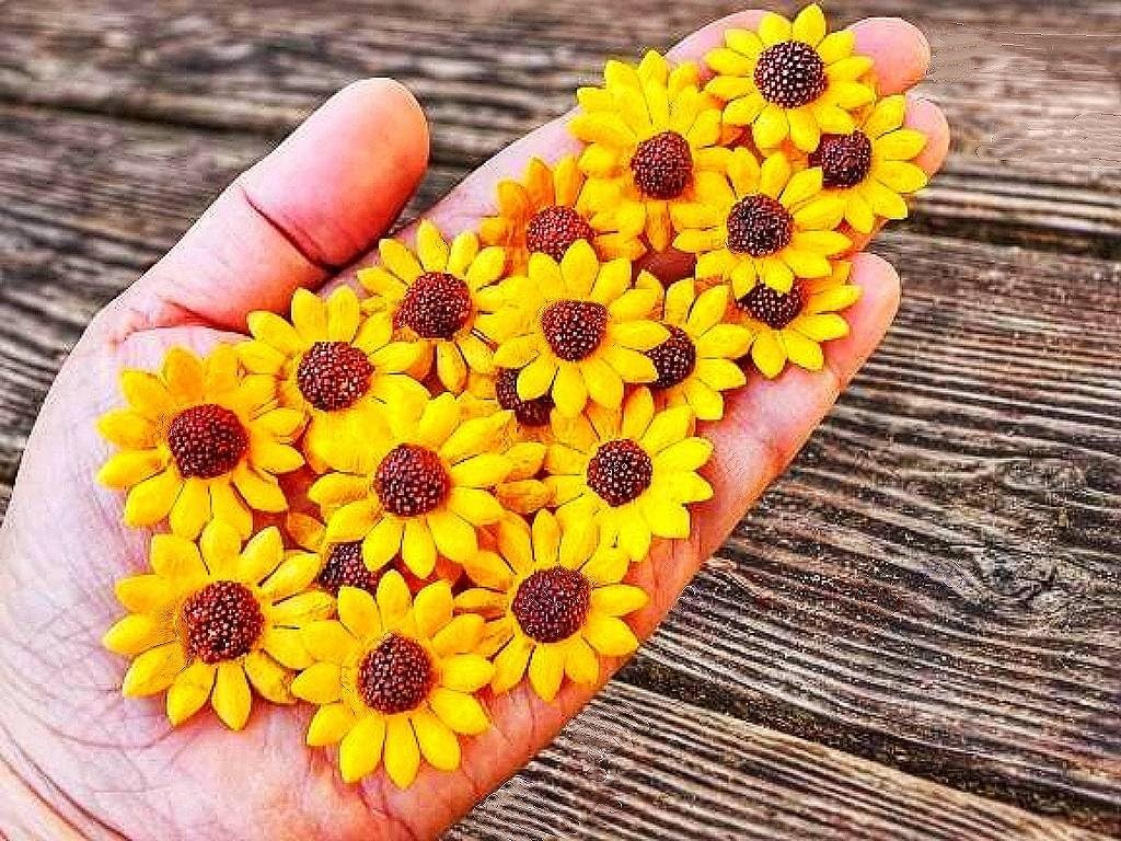 Sunflowers Heads Mulberry Paper Flower Yellow With Brown Centre Miniature DIY