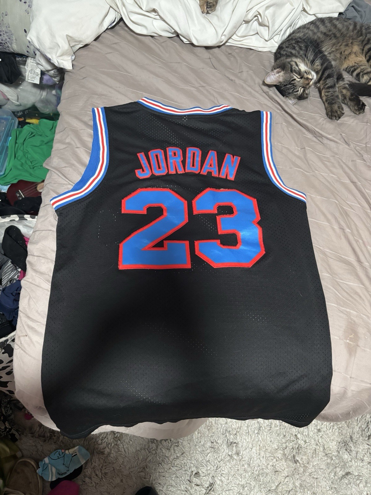 Tune Squad Jorden Jersey