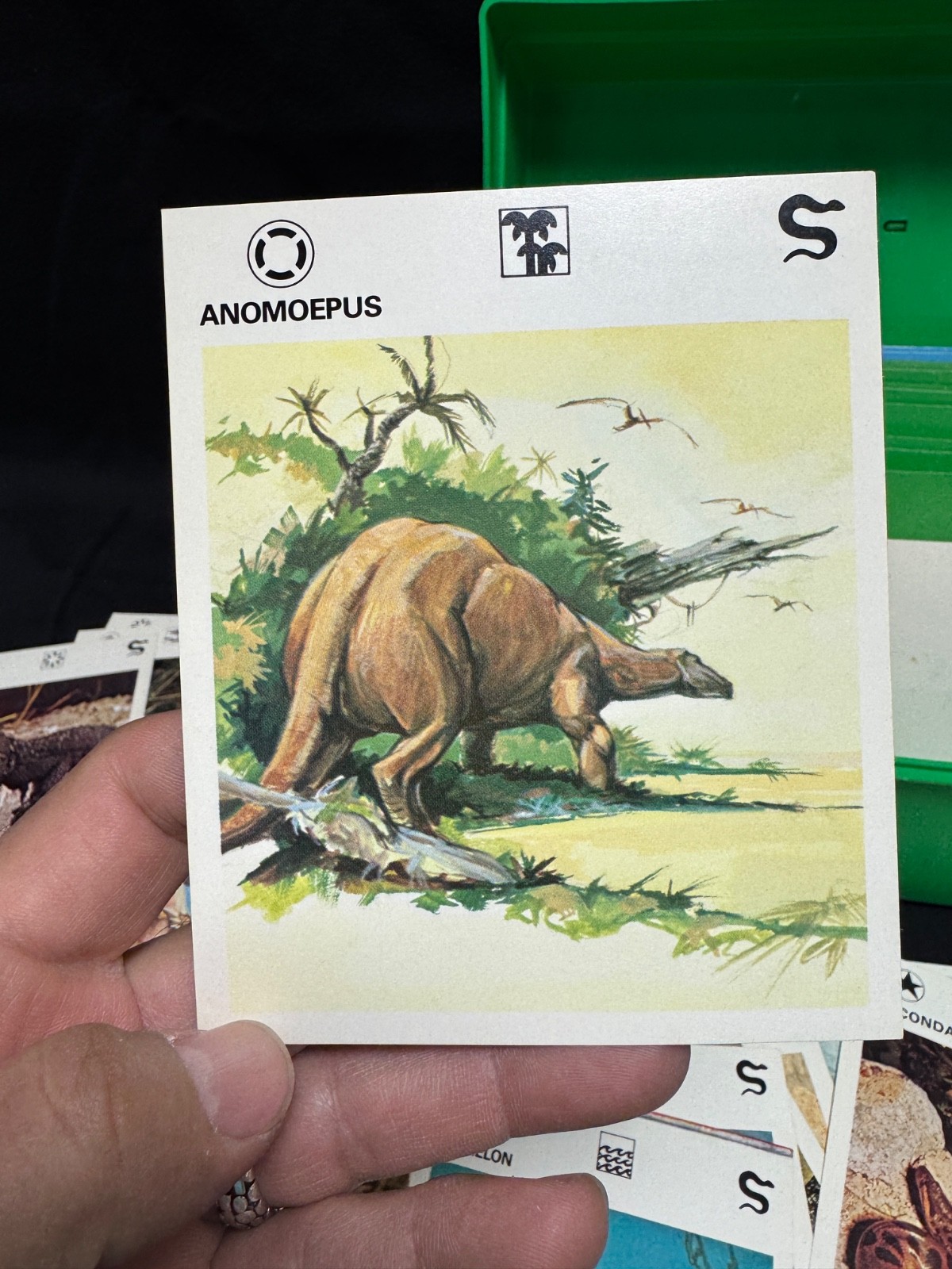 Vintage 1970s Illustrated Wildlife Treasury Animal Fact Cards & Case Over 600
