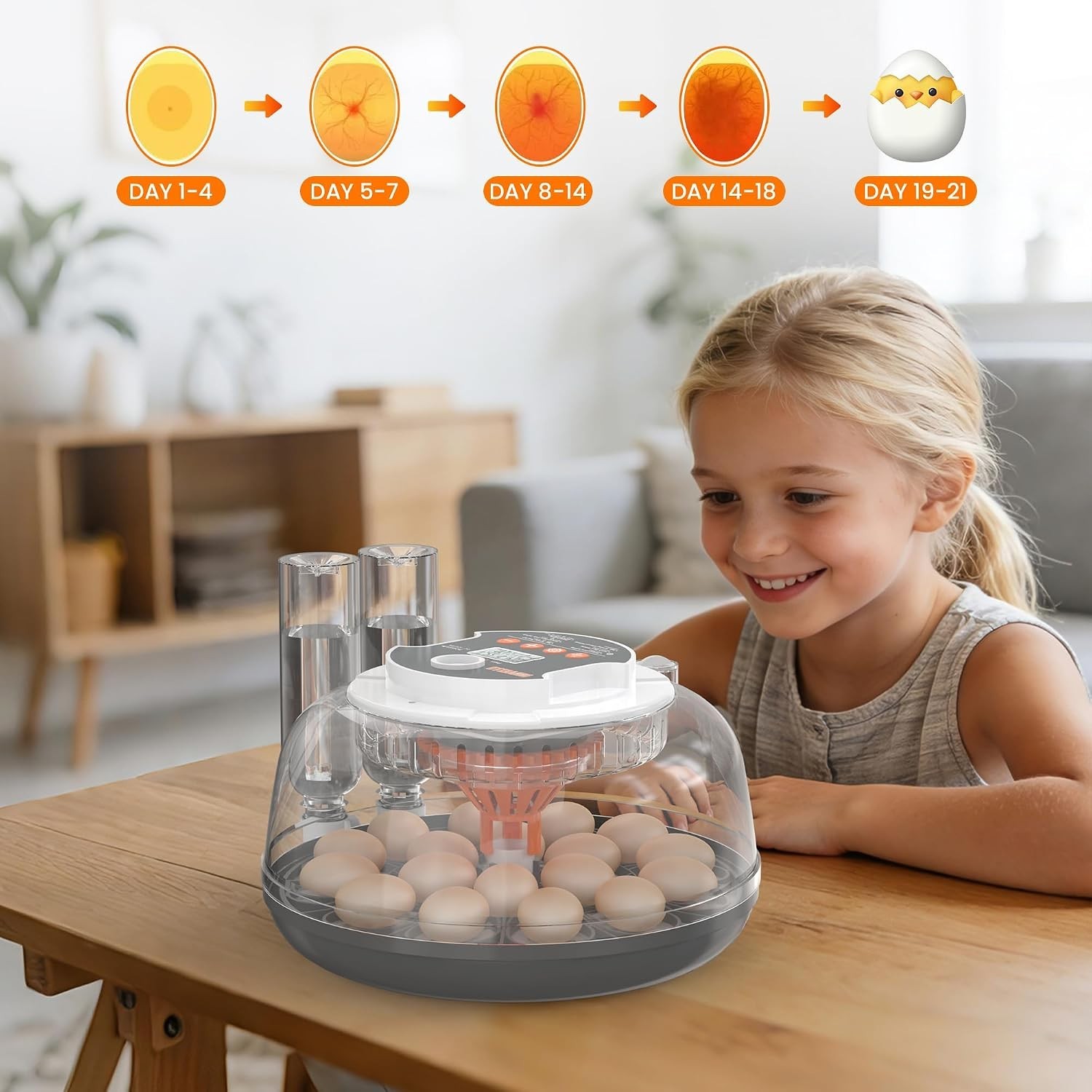 18 Egg Automatic Egg Incubator for Hatching Chickens Auto Turning Humidity Temp