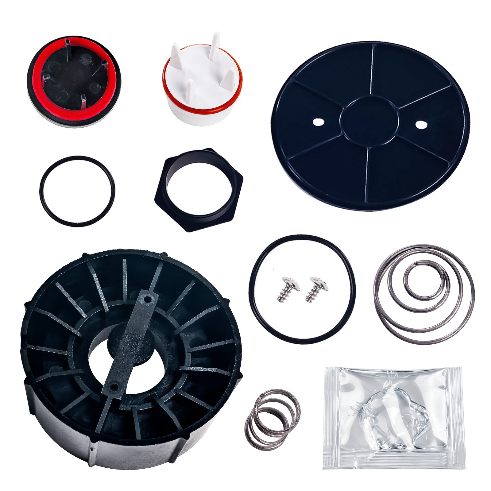 RK800M4 1in Backflow Valve Service Kit